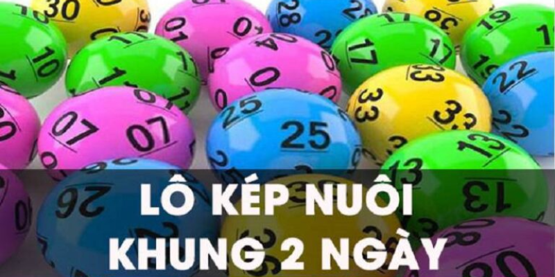 Khái niệm về nuôi lô kép khung 2 ngày