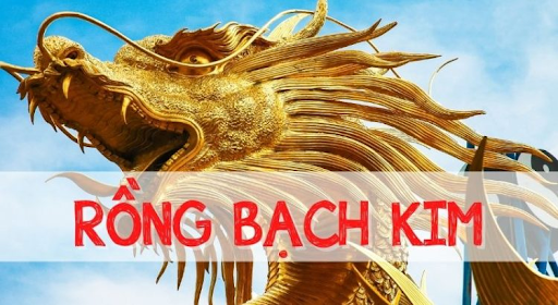 Giao diện trang rồng bạch kim 188 được thiết kế hiện đại và khoa học